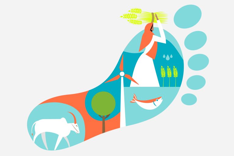 Vitafoam Yet To Introduce Renewable Energy Into Its Power System