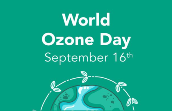 World Ozone Day: UNIDO Funds over 400 global companies transit to ozone-friendly technologies