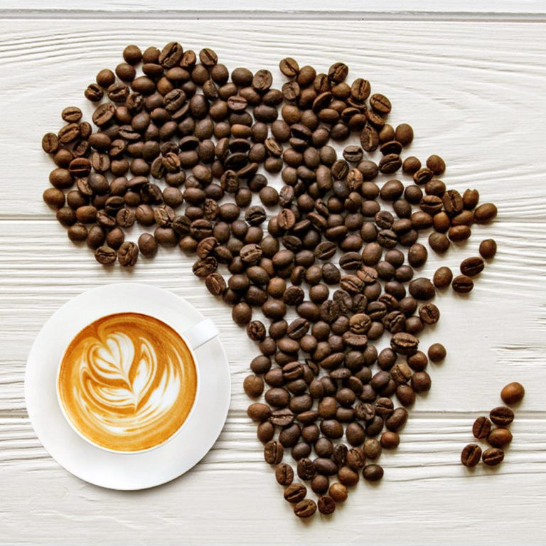 Italy Commits €15 million To Africa’s Coffee Industry