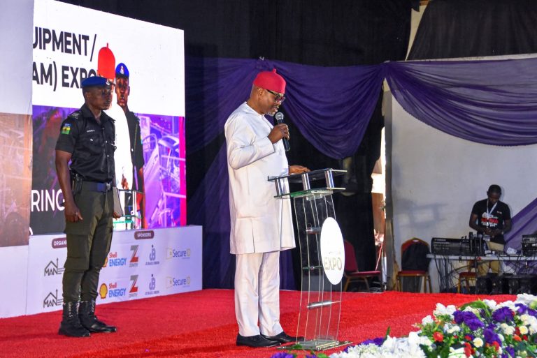 Tax Incentives Coming for Manufacturers Using Local Raw Materials – Nnaji